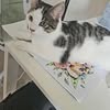 Erla Bjarnadottir Avatar